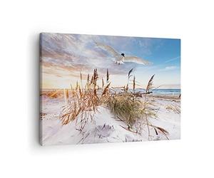 ARTTOR Lienzos decorativos Gaviota Mar Costa Cuadro Sobre Lienzo Moderno 70x50cm Cuadros Decoracion Salon Dormitorio Cocina Cuadros Pared Imágenes Wall Art Prints Decor Canvas AA70x50-4902