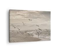 ARTTOR Lienzos decorativos Gaviotas Costa Boho Cuadro Sobre Lienzo Moderno 70x50cm Cuadros Decoracion Salon Dormitorio Cocina Cuadros Pared Imágenes Wall Art Prints Decor Canvas AA70x50-4723