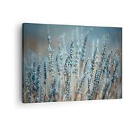 ARTTOR Lienzos decorativos Lavanda Cuchilla Flor Cuadro Sobre Lienzo Moderno 70x50cm Cuadros Decoracion Salon Dormitorio Cocina Cuadros Pared Imágenes Wall Art Prints Decor Canvas AA70x50-4986