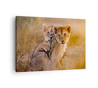 ARTTOR Lienzos decorativos león naturaleza animal Cuadro Sobre Lienzo Moderno 70x50cm Cuadros Decoracion Salon Dormitorio Cocina Cuadros Pared Imágenes Wall Art Prints Decor Canvas AA70x50-3480