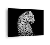 ARTTOR Lienzos decorativos leopardo pantera gato Cuadro Sobre Lienzo Moderno 70x50cm Cuadros Decoracion Salon Dormitorio Cocina Cuadros Pared Imágenes Wall Art Prints Decor Canvas AA70x50-4919