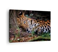 ARTTOR Lienzos decorativos Leopardo Retrato Jaguar Cuadro Sobre Lienzo Moderno 70x50cm Cuadros Decoracion Salon Dormitorio Cocina Cuadros Pared Imágenes Wall Art Prints Decor Canvas AA70x50-4493