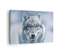 ARTTOR Lienzos decorativos lobo depredador salvajismo Cuadro Sobre Lienzo Moderno 70x50cm Cuadros Decoracion Salon Dormitorio Cocina Cuadros Pared Imágenes Wall Art Prints Decor Canvas AA70x50-5073