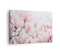 ARTTOR Lienzos decorativos Magnolia Flores Rosa Cuadro Sobre Lienzo Moderno 70x50cm Cuadros Decoracion Salon Dormitorio Cocina Cuadros Pared Imágenes Wall Art Prints Decor Canvas AA70x50-4396