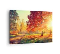 ARTTOR Lienzos decorativos parque otoño árbol Cuadro Sobre Lienzo Moderno 70x50cm Cuadros Decoracion Salon Dormitorio Cocina Cuadros Pared Imágenes Wall Art Prints Decor Canvas AA70x50-3654