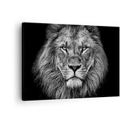 ARTTOR Lienzos decorativos Retrato León Blanco Y Negro Cuadro Sobre Lienzo Moderno 70x50cm Cuadros Decoracion Salon Dormitorio Cocina Cuadros Pared Imágenes Wall Art Prints Decor Canvas AA70x50-4494