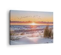 ARTTOR Lienzos decorativos Sol Playa Aves Cuadro Sobre Lienzo Moderno 70x50cm Cuadros Decoracion Salon Dormitorio Cocina Cuadros Pared Imágenes Wall Art Prints Decor Canvas AA70x50-4727