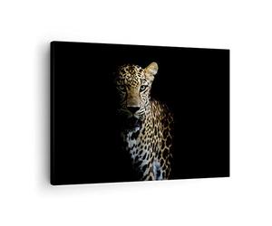 ARTTOR Lienzos decorativos Sombra Leopardo Pantera Cuadro Sobre Lienzo Moderno 70x50cm Cuadros Decoracion Salon Dormitorio Cocina Cuadros Pared Imágenes Wall Art Prints Decor Canvas AA70x50-4585