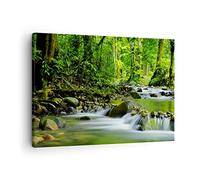 ARTTOR Lienzos decorativos Stream Bosque Naturaleza Cuadro Sobre Lienzo Moderno 70x50cm Cuadros Decoracion Salon Dormitorio Cocina Cuadros Pared Imágenes Wall Art Prints Decor Canvas AA70x50-0174