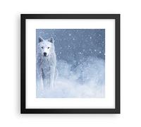 ARTTOR Moderno Cuadros Decorativo 30x30cm Poster de Pared Blanco lobo nieve Cuadros Pared Imágenes Póster Marco Negro Decoracion Salon Dormitorio Cocina Wall Art Prints Decor P2BAC30x30-5006