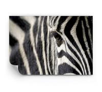 ARTTOR Papel pintado de papel no tejido Standard - Cebra rayas fauna safari - 350x256 cm - Fotomurales XXL Moderna Decorativos Papel tapiz fotográfico Dormitorio Para la sala - WF1AA350x256-2195