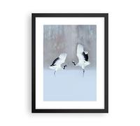 ARTTOR Poster da Parete Grullas Lucha Danza Póster Marco Negro 30x40cm Moderno Cuadros Decorativo Decoracion Salon Dormitorio Cocina Cuadros Pared Imágenes Wall Art Prints Decor - P2BPA30x40-4497