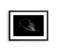 ARTTOR Poster de Pared Caballo Animal Artístico Póster Marco Negro 40x30cm Moderno Cuadros Decorativo Decoracion Salon Dormitorio Cocina Cuadros Pared Imágenes Wall Art Prints Decor P2BAA40x30-5492