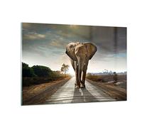 ARTTOR Vidrio Decorativo 120x80cm Moderno Horizontal África Animales - 0214 | Elefante Forma Cuadro sobre Vidrio Grande Arte mural Salón Dormitorio Cuadros de Pared Impresión en Cristal Glasprint ARTTOR