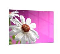 ARTTOR Vidrio Decorativo 120x80cm Moderno Horizontal Botánica Flores - 2469 | Flor Primavera Jardín Cuadro sobre Vidrio Grande Arte mural Dormitorio Cuadros de Pared Impresión en Cristal Glasprint ARTTOR