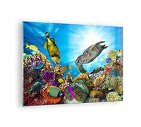 ARTTOR Vidrios decorativos arrecife de coral Cuadro Sobre Vidrio Moderno 70x50cm Decoracion Salon Dormitorio Cocina Cuadros Pared Impresiones Impresión en Cristal Wall Art Prints Decor GAA70x50-3704