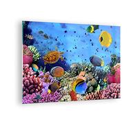 ARTTOR Vidrios decorativos Arrecife de coral Cuadro Sobre Vidrio Moderno 70x50cm Decoracion Salon Dormitorio Cocina Cuadros Pared Impresiones Impresión en Cristal Wall Art Prints Decor GAA70x50-3569