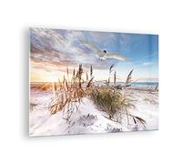 ARTTOR Vidrios decorativos Gaviota Mar Costa Cuadro Sobre Vidrio Moderno 70x50cm Decoracion Salon Dormitorio Cocina Cuadros Pared Impresiones Impresión en Cristal Wall Art Prints Decor GAA70x50-4902