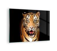 ARTTOR Vidrios decorativos tigre animal Cuadro Sobre Vidrio Moderno 70x50cm Decoracion Salon Dormitorio Cocina Cuadros Pared Impresiones Impresión en Cristal Wall Art Prints Decor GAA70x50-4103