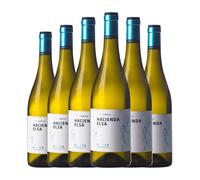 Arturo García Hacienda Elsa Godello Bierzo 75 cl Vino blanco (Caja de 6 Botellas de 75 cl)