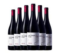 Arturo García Hacienda Elsa Mencía Bierzo Joven 75 cl Vino tinto (Caja de 6 Botellas de 75 cl)