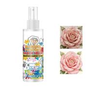 Artwork Sealing Spray - 100ml Clear Gloss Varnish, Transparent Fine Mist Pr
