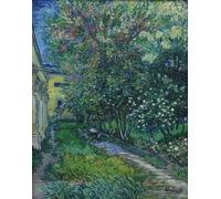 ARTXLXXBN Pinturas Famosas Pinturas Murales Cuadros Abstractos il Giardino del Manicomio a Saint rémy di Vincent Van Gogh para Decoración de Paredes 60x90cm