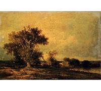 ARTXLXXBN Pinturas Famosas Pinturas Murales Cuadros Abstractos Vieux Chene Et Troupeau Au Bord D'une Mare di Jules Dupré para Decoración de Paredes 60x90cm