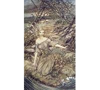 ARTXLXXBN Pinturas Famosas PóSter De Lienzo CláSicas Poster Ondina di Arthur Rackham para la Decoración de la Sala de Estar 60x90cm