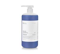 ARUAL Champú Silver para cabello rubio, gris y blanco. 1.000ml