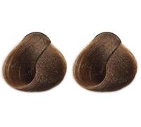 Arual Tinte Nº 6.81 Rubio Oscuro Marrón Ceniza 1 Unidad 80 g (Paquete de 2)