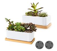 ARVINKEY Macetas suculentas de cerámica blanca, plantador suculento para interior y exterior, macetas para bonsái, macetas con orificio de drenaje y cuenco de bambú (no planta)