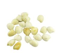 Arwacraft And Jewellery Original Machmani Stone/Machh Mani/Machmani Stone/Machhmanni-B08W3H83MRNAMZ