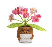 ARYIMYDP 1 peluche, una muñeca con mensajes positivos, regalo original para mujer, regalo personalizado para profesora, decoración de peluche para el hogar.