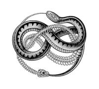 ARYU 3 Hierbas Gran Flor Brazo Jugo Tatuaje Pegatinas Gradiente No Reflectante Semipermanente Hombre Diablo Sistema Flor Brazo Mujer Impermeable