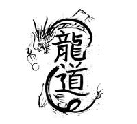 ARYU 4 Dragones Simple Tatuaje Pegatina Hierba Hombres Y Mujeres Impermeable Personalidad Duradera No Reflectante Tatuaje Semipermanente