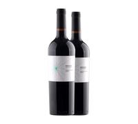 Arzuaga Eco Tempranillo Ribera del Duero Crianza 75 cl Vino tinto (Caja de 2 Botellas de 75 cl)