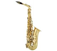 aS Arnolds & Sons AAS-100 Alt Saxophon