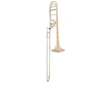 aS Arnolds & Sons ASL-432G Terra Bb/FTenor Trombón