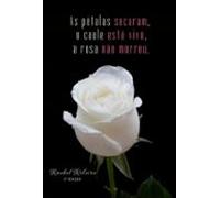 As Pétalas Secaram O Caule Está Vivo A Rosa Não Morreu (ebook)