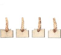 AS-PL SB0001 4x Escobilla de carbón arrancador