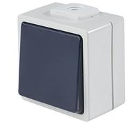 as - Schwabe 62452 - Pulsador IP54 Gris, 230 V