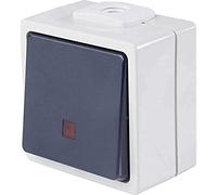 as - Schwabe - Interruptor/contacto Schwabe iluminado con 2 entradas de cable, IP 54 exterior, gris, 62453