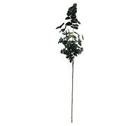 ASA 66498444 - Rama de eucalipto (plástico)