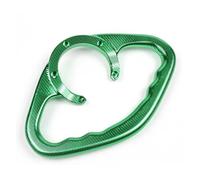 Asa Agarre Pasajero Motocicleta para Kawasaki Z650 Z750 Z800 Z900 Z1000 Z1000R ZX1100 ZZR1200 Asidero Delantero Pasajero Motocicleta Barra Agarre Tanque Apoyabrazos(Verde)