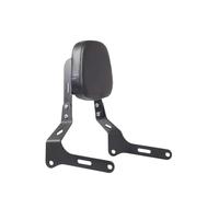 Asa Agarre Pasajero Motocicleta Respaldo Desmontable para Pasajero Trasero De Motocicleta Sissy Bar con Almohadilla Acolchada para Kawasaki para Eliminator 500 2024 2025
