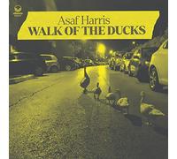 Asaf Harris – Walk of the Ducks – Membran