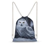 asbwuo Arctic Owl Drawstring Backpack Sport Gym Bags Yoga Shopping Travel Casual Daypacks for Women Men