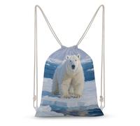 asbwuo Arctic Polar Bear Drawstring Backpack Sport Gym Bags Yoga Shopping Travel Casual Daypacks for Women Men
