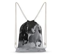 asbwuo Black And White Horses Running Drawstring Backpack Sport Gym Bags Yoga Shopping Travel Casual Daypacks for Women Men